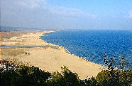 leucate plage